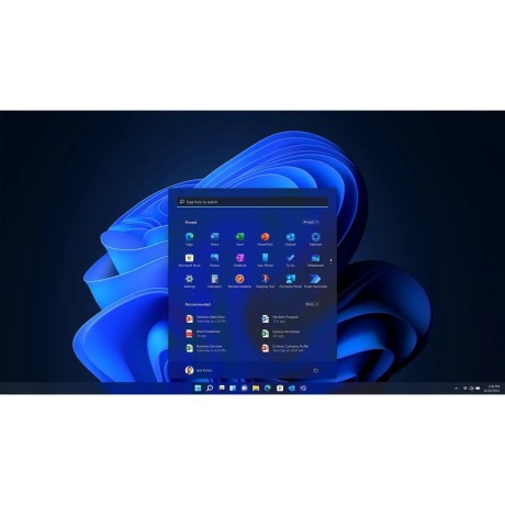 Microsoft Windows 11 Pro (USB)