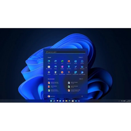 Microsoft Windows 11 Pro 64-bit, DVD - OEM