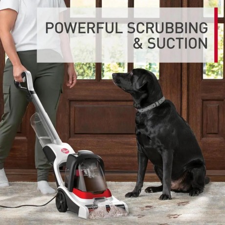PowerDash Pet+ Compact Carpet Cleaner